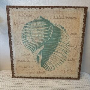 Coastal Seashell Wall Art – Beach Decor for Home or Office